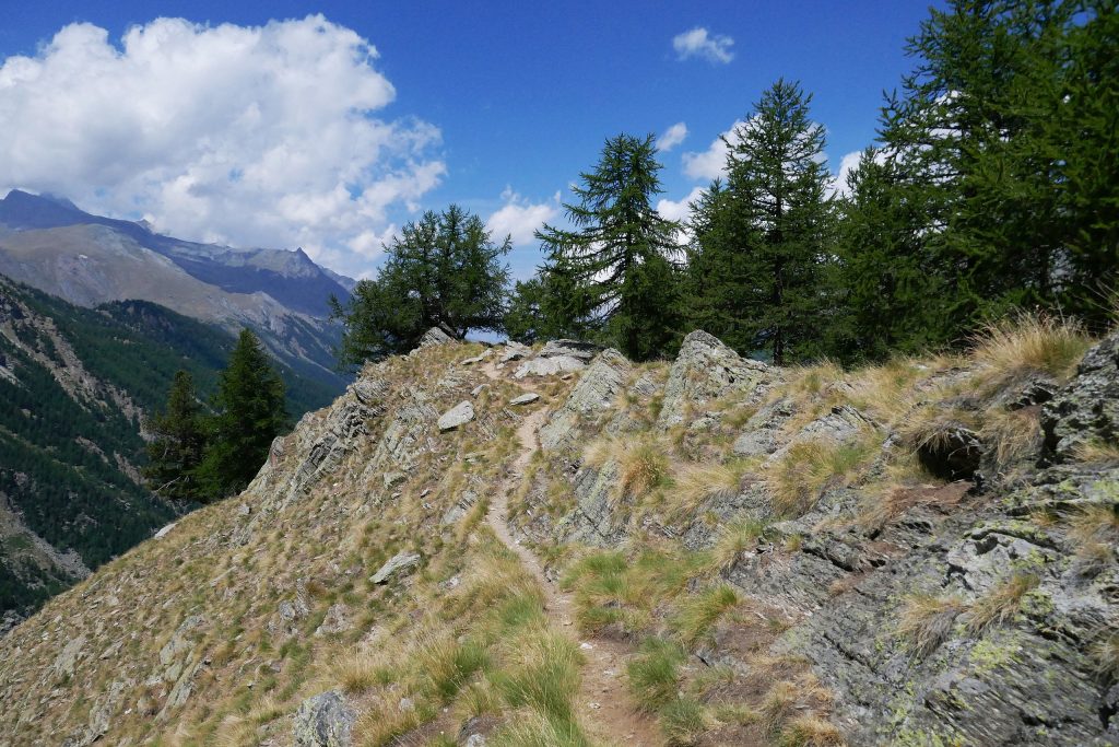 PNGP - Foto Wikimedia Commons @Tiia Monto