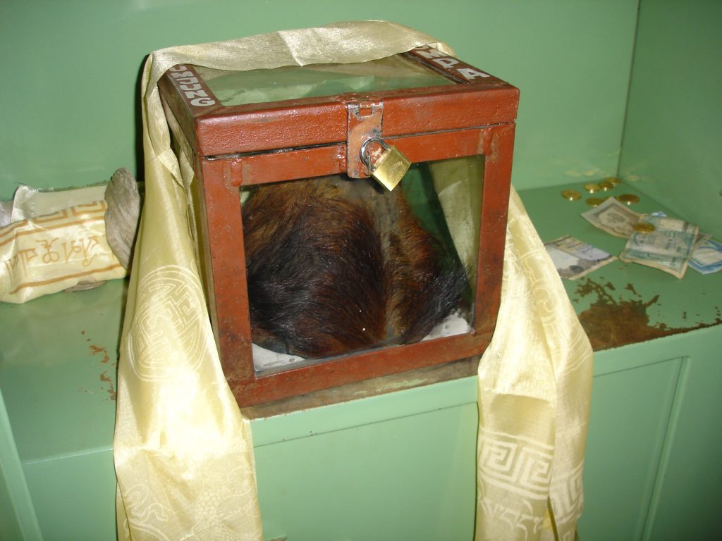 Presunto scalpo di uno Yeti conservato al Khumjung monastery - Foto Wikimedia Commons @Nuno Nogueira