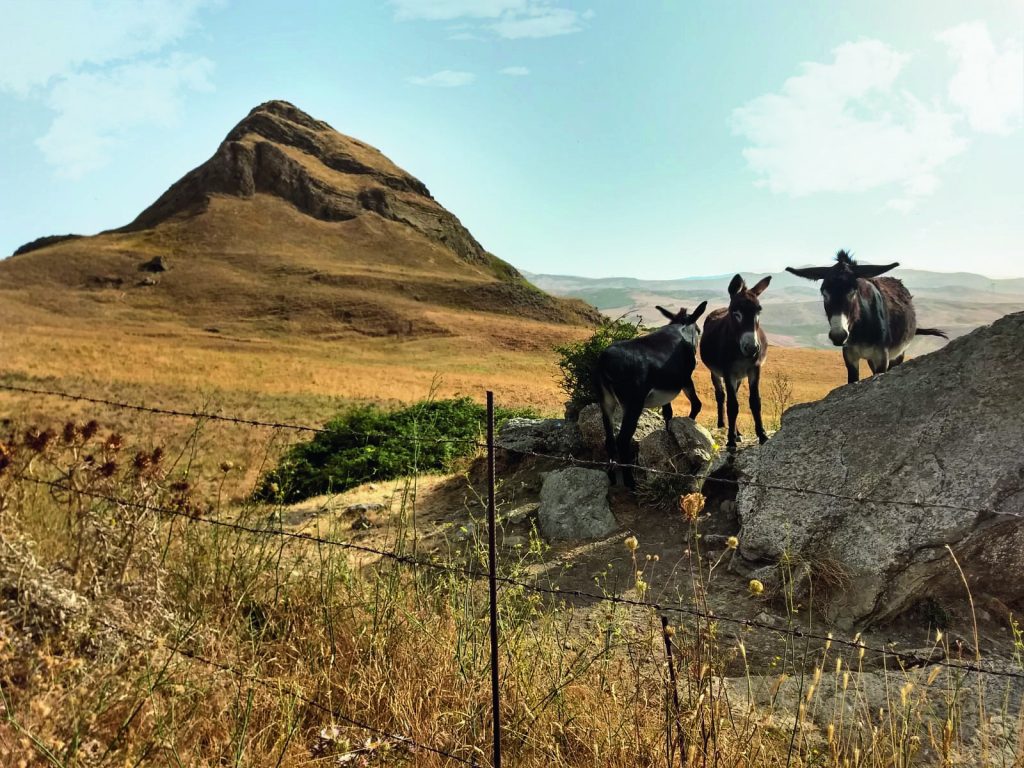 Lungo il cammmino. Foto AMICI DEI CAMMINI FRANCIGENI DI SICILIA - CAROLINA ORLANDI