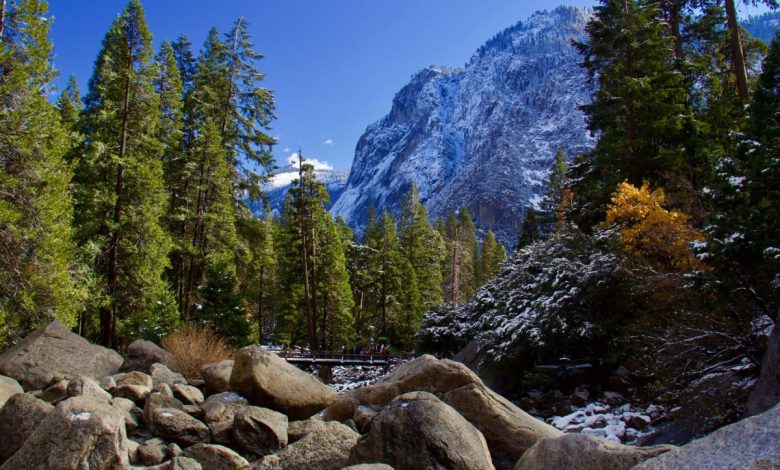 snowliage, autunno, yosemite
