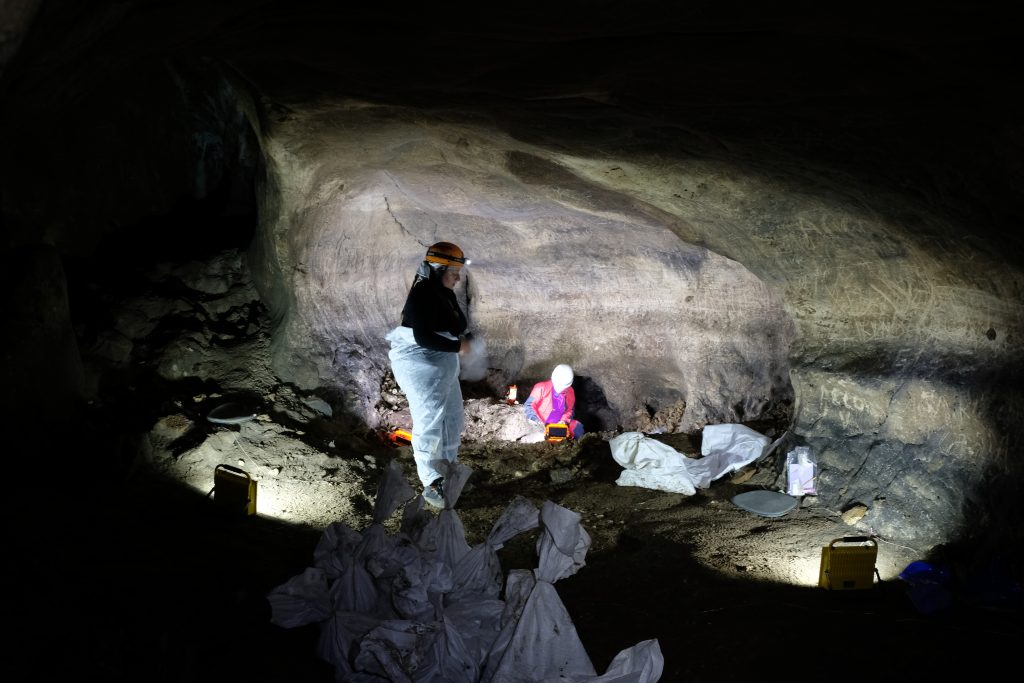 Momento di scavo - Foto Massimo Arvali