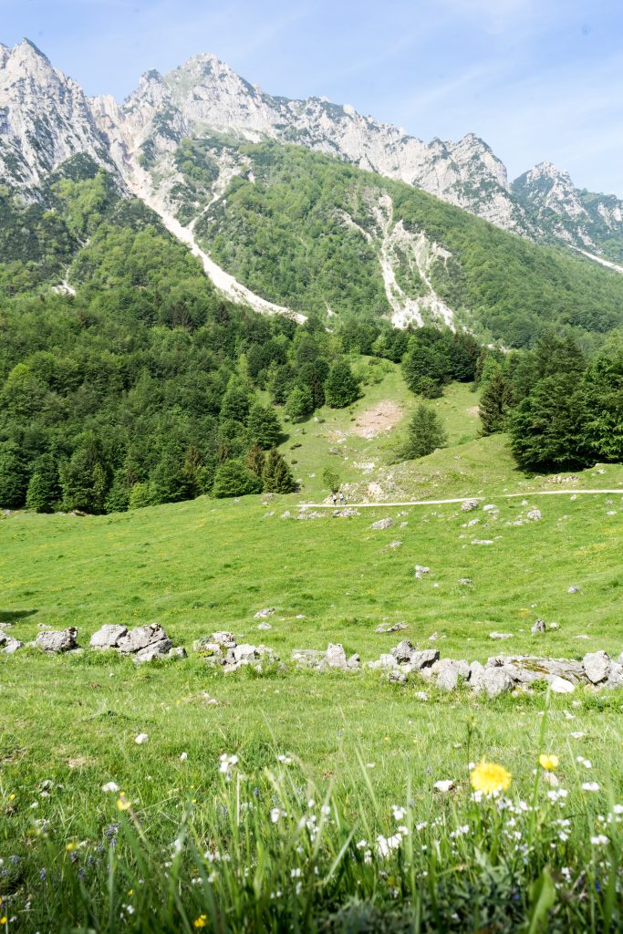 Foto Unsplash @Stacy Ropati