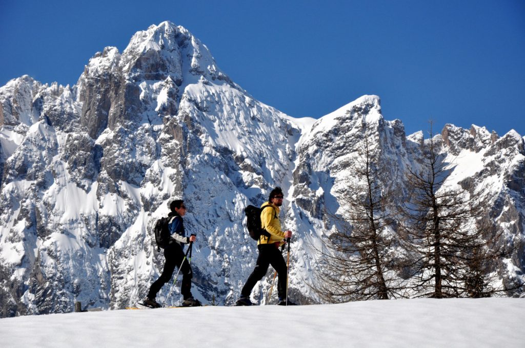 Alpe di Nemes, sullo sfondo le Dolomiti di Sesto