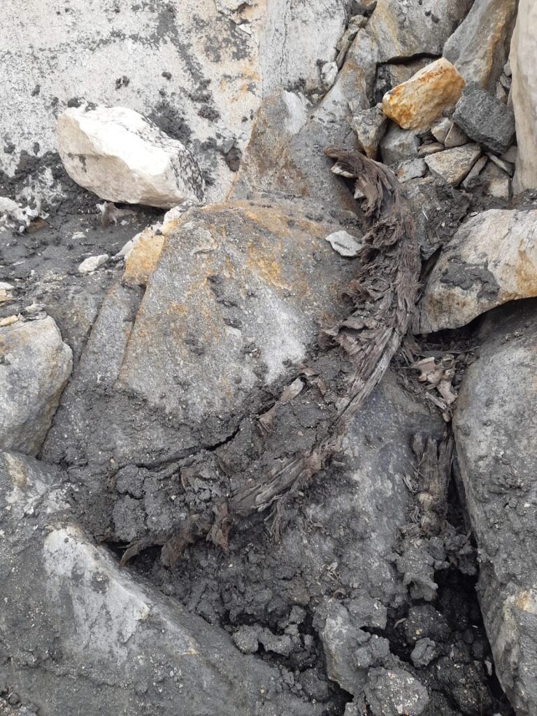 Foto ASP/Stazione forestale S. Leonardo in Passiria