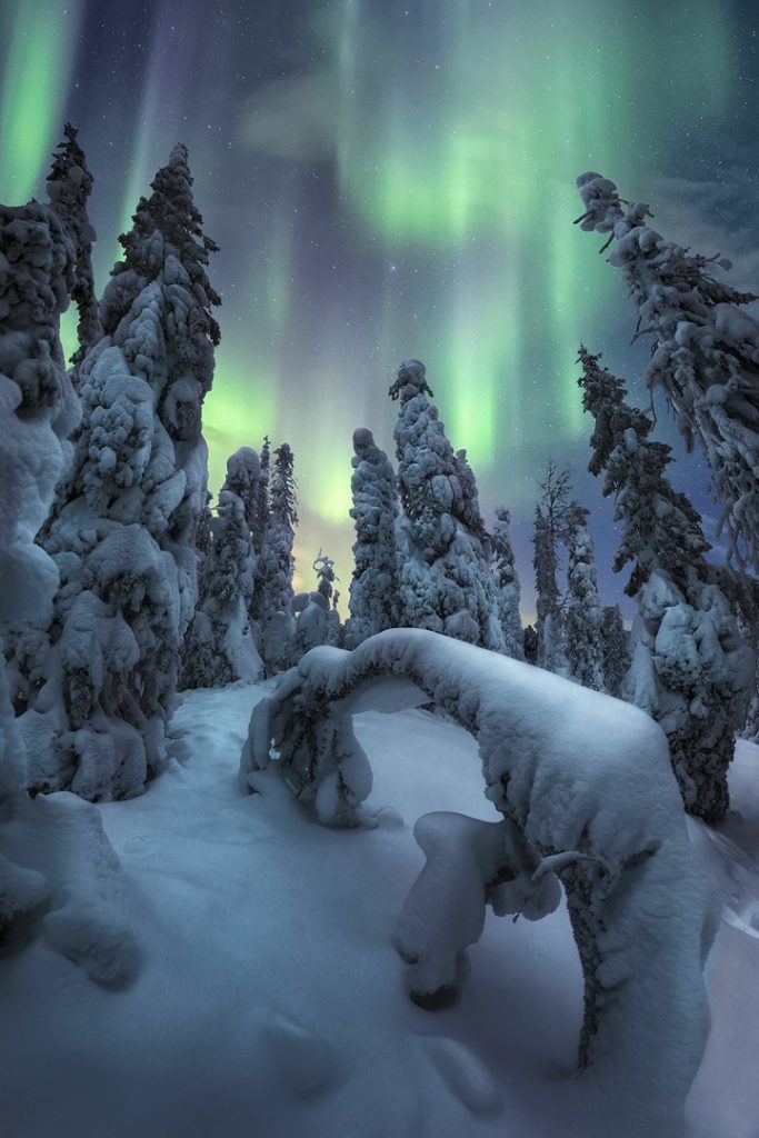 “Spirits of Winter”. Riisitunturi National Park, Finnish Lapland. Foto Unai Larraya 