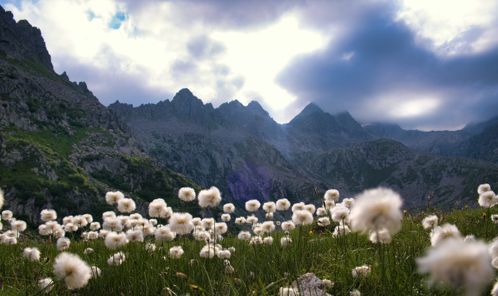 Madonna di Campiglio - Foto Unsplash @Francesco Bonistalli