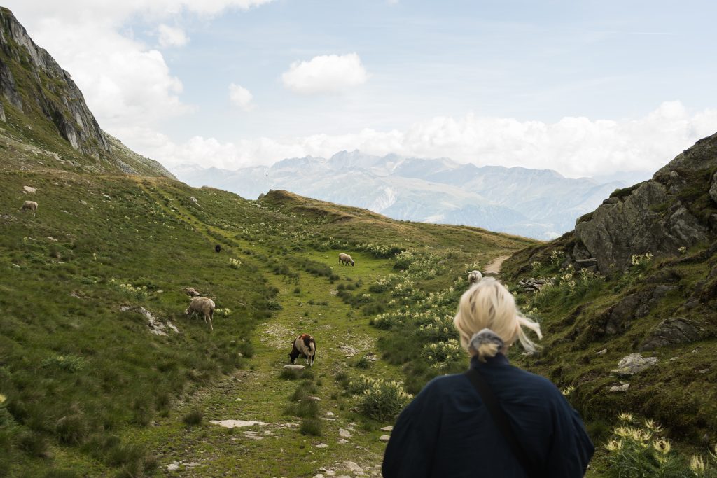 Foto Unsplash @Lukas L