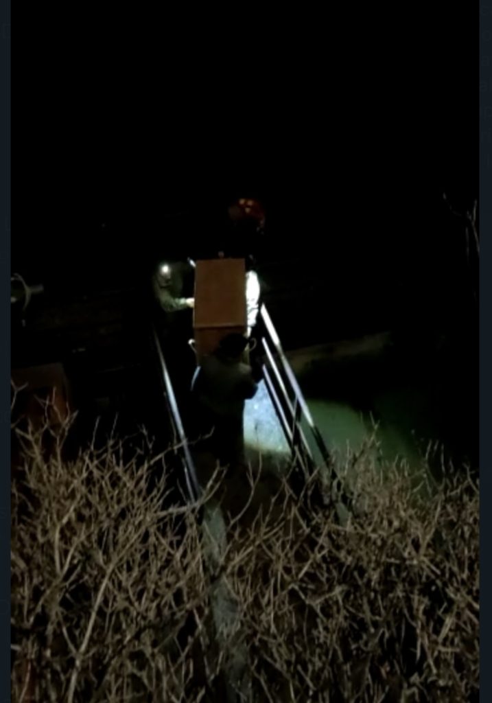 Recupero del capriolo - Foto OIPA 