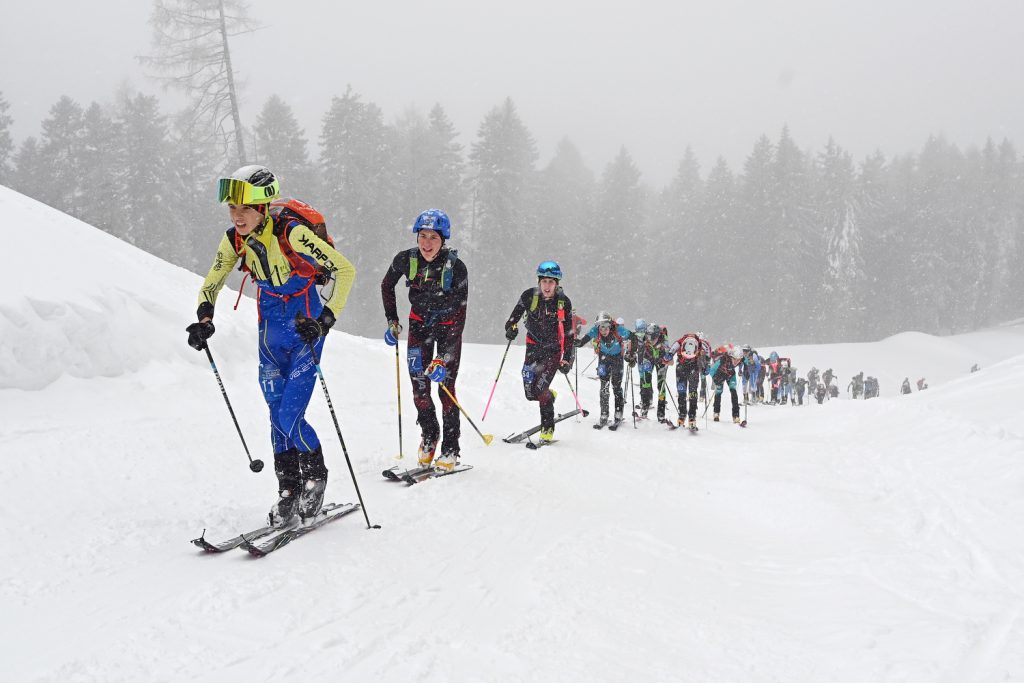 ASSOLUTI SKIALP
PAGANELLA SKI ANDALO FAI DELLA PAGANELLA ITA ITALIA
05 Dec 2021
CAMPIONATI ITALIANI ASSOLUTI DI SCI ALPINISMO
VERTICAL GIOVANI E SENIOR E MASTER
(Photo by Gianpaolo Piazzi)
"Copyright PHOTO ELVIS"