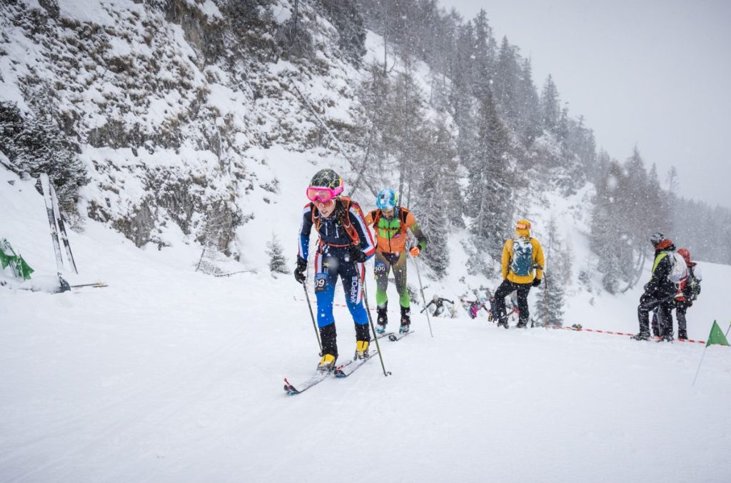 giulia murada, skialp, paganella, vertical