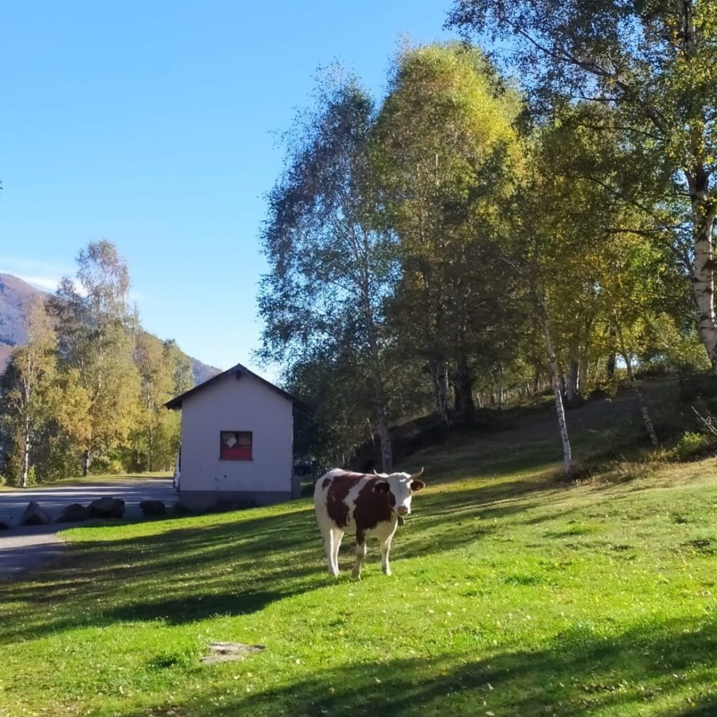 Foto FB Rifugio Cima Bossola