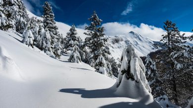 Photo of Bentornato inverno! La magia di Alpi e Appennini sotto la neve