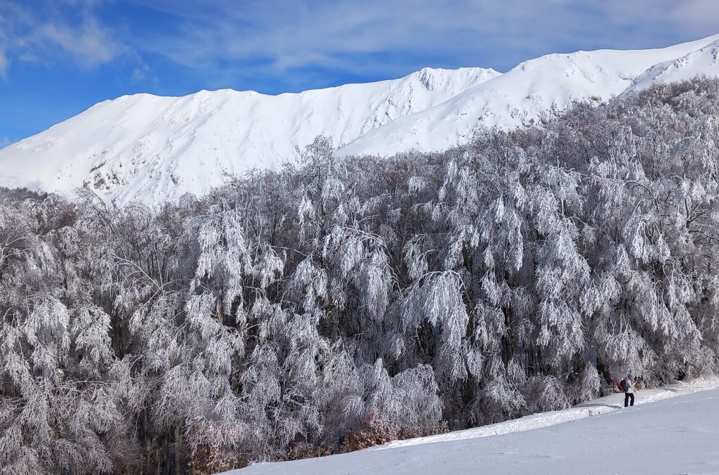 valanghe, bollettini