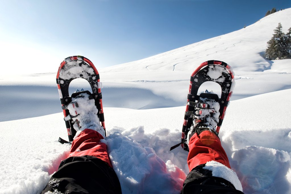 Ciaspole - Foto Adobe Stock @Lilifox