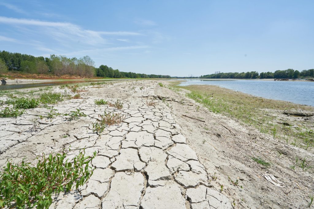 La grande secca del fiume Po: tra Pieve Porto Morone (PV) e Castel San Giovanni (PC) lacqua ha lasciato spazio ad un terreno arido e sabbioso, mentre la natura prova a resistere, 27 giugno 2022.
ANSA/ BONDIOLI