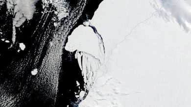 Photo of In Antartide si è staccato un iceberg grande quanto mezza Valle d’Aosta