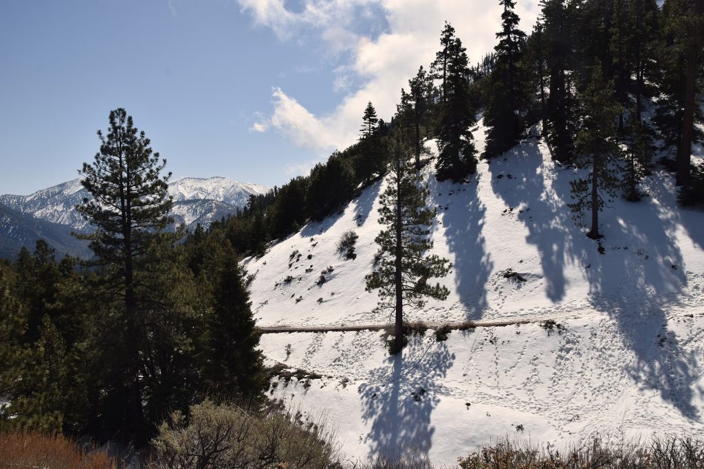 Gabriel Mountains - Foto Wikimedia Commons @Tracie Hall