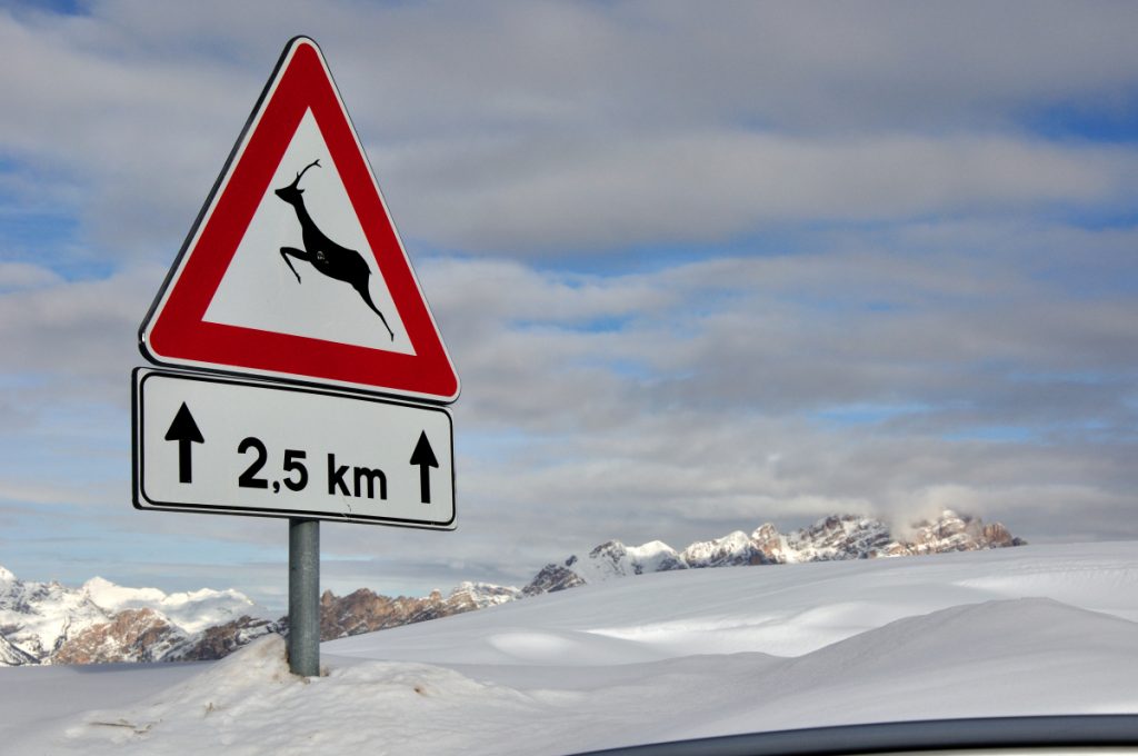 Gennaio 2014, neve abbondante a Passo Giau