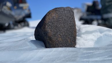 Photo of Scoperto in Antartide un meteorite di quasi 8 Kg. “Ci aiuterà a capire la storia dell’universo”