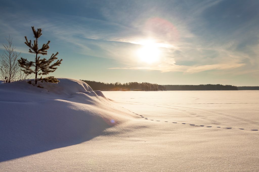 Impronte nella neve - Foto Adobe Stock @Jne Valokuvaus