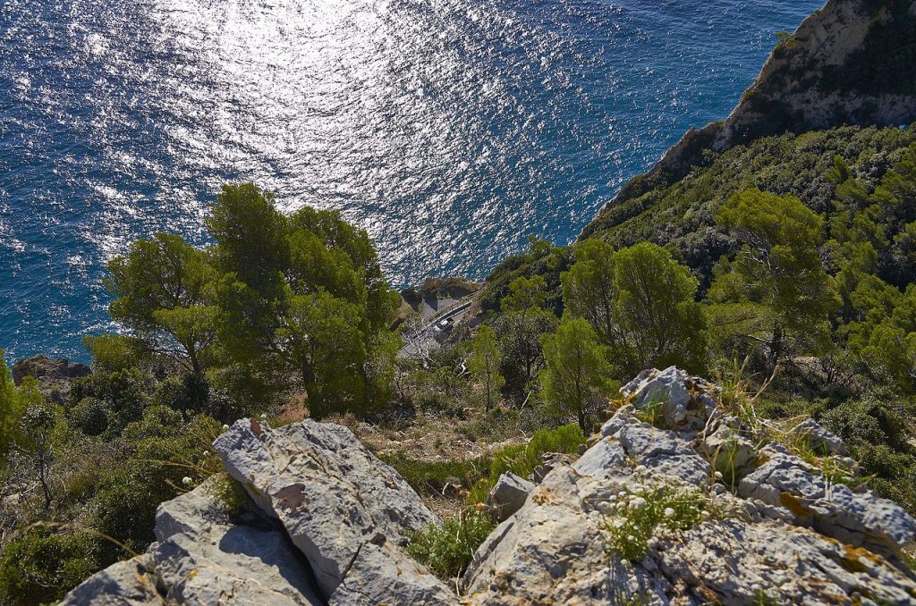 Foto Wikimedia Commons @Terensky