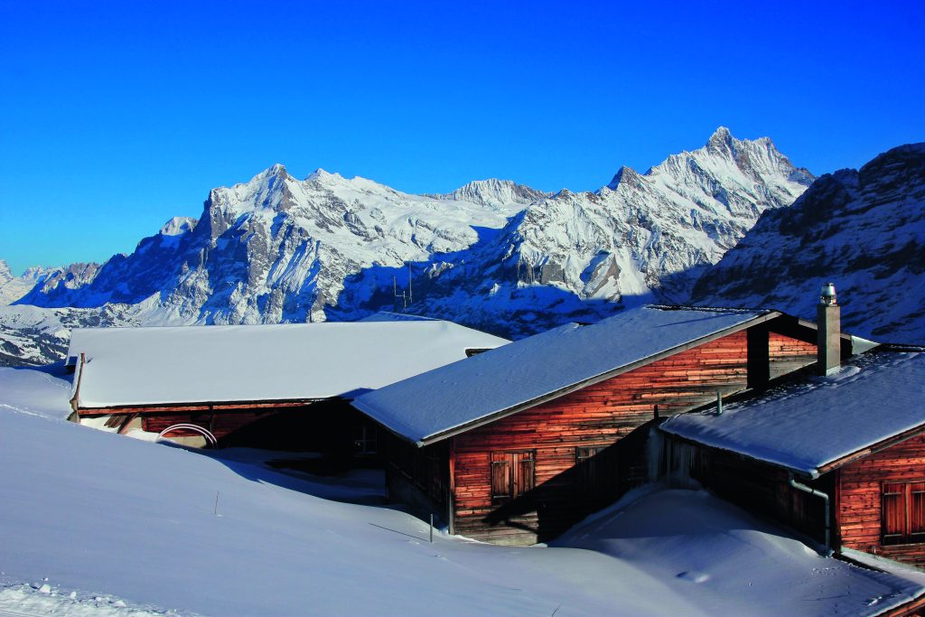 Grindelwald, Alpi svizzere. Foto Alami