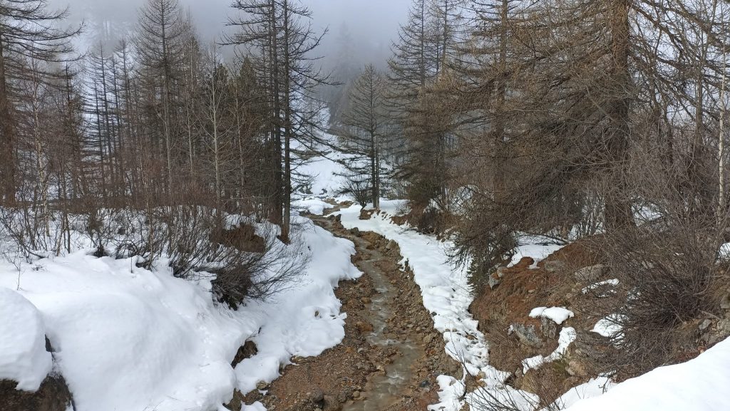 Valle Argentera, gennaio 2023 - Foto Tatiana Marras