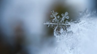 Photo of La scienza dei fiocchi di neve