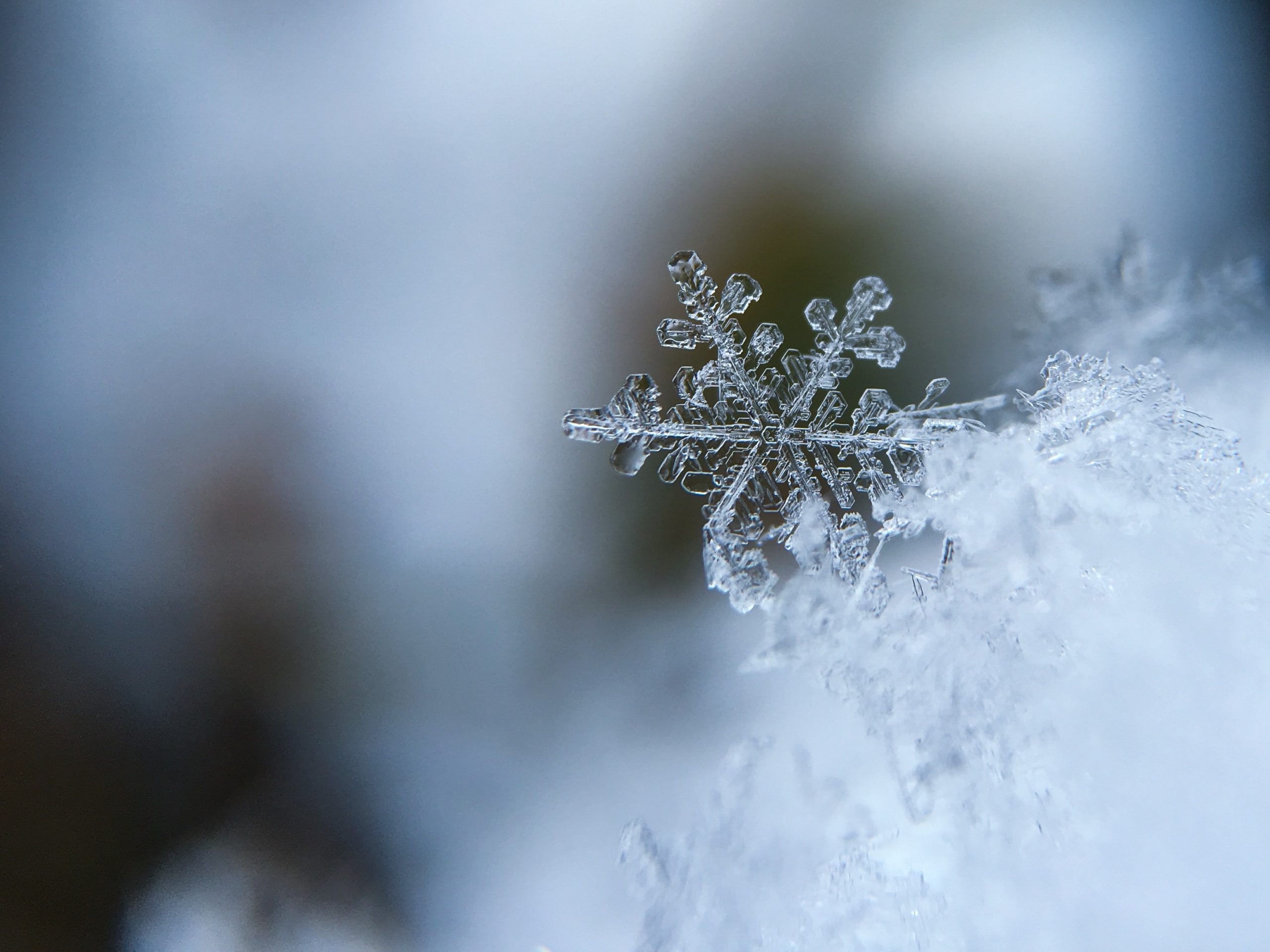 La scienza dei fiocchi di neve 