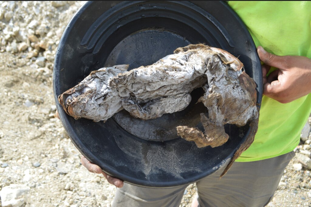 Photo Courtesy of Government of Yukon
