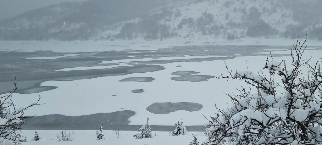 Foto Alfredo Cristallini