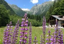 Photo of Trentino, il rifugio Gorck nella Val San Valentino cerca nuovi gestori