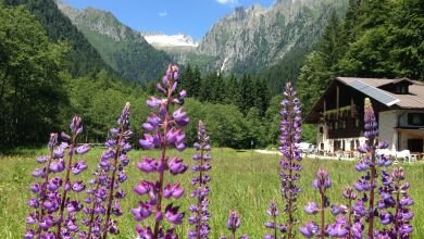 Photo of Trentino, il rifugio Gorck nella Val San Valentino cerca nuovi gestori