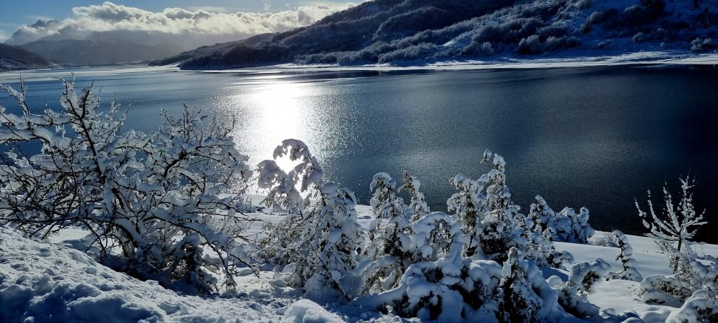 Foto Alfredo Cristallini