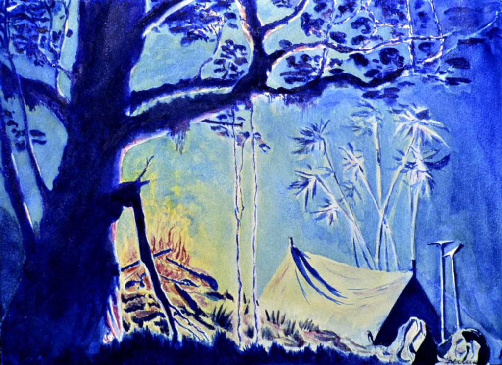 Acquerello di Felice Benuzzi, campo nella foresta