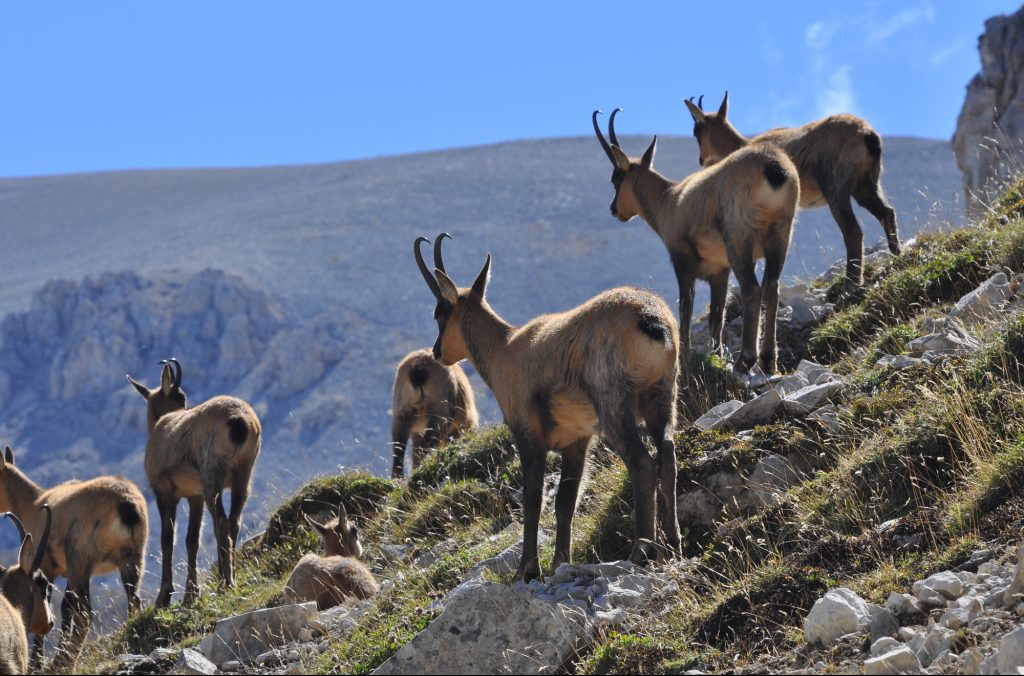 abruzzo, natura