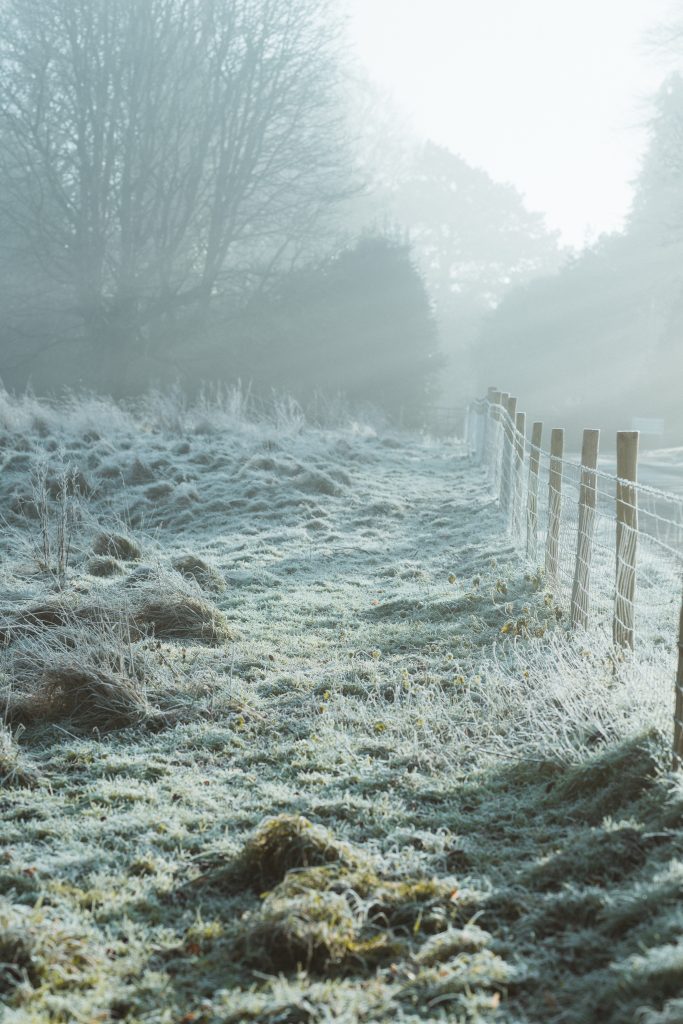 Gelo - Foto Unsplash @Annie Spratt