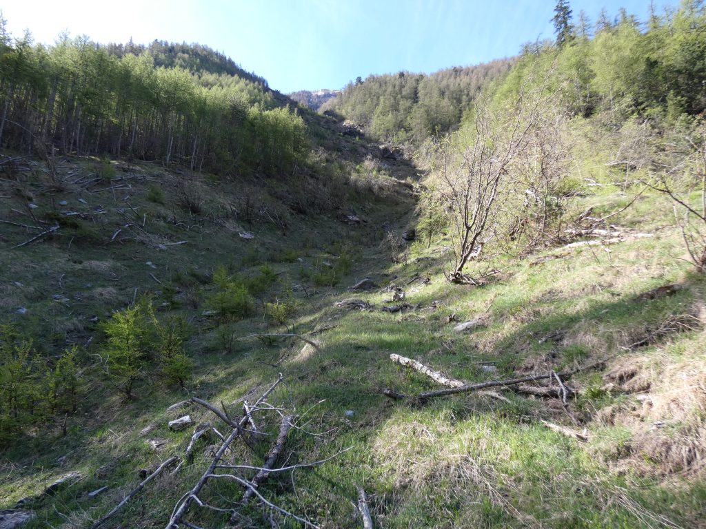 Sito di valanga - Foto UniTo