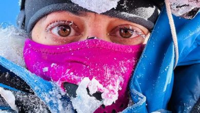 polar preet, antartide