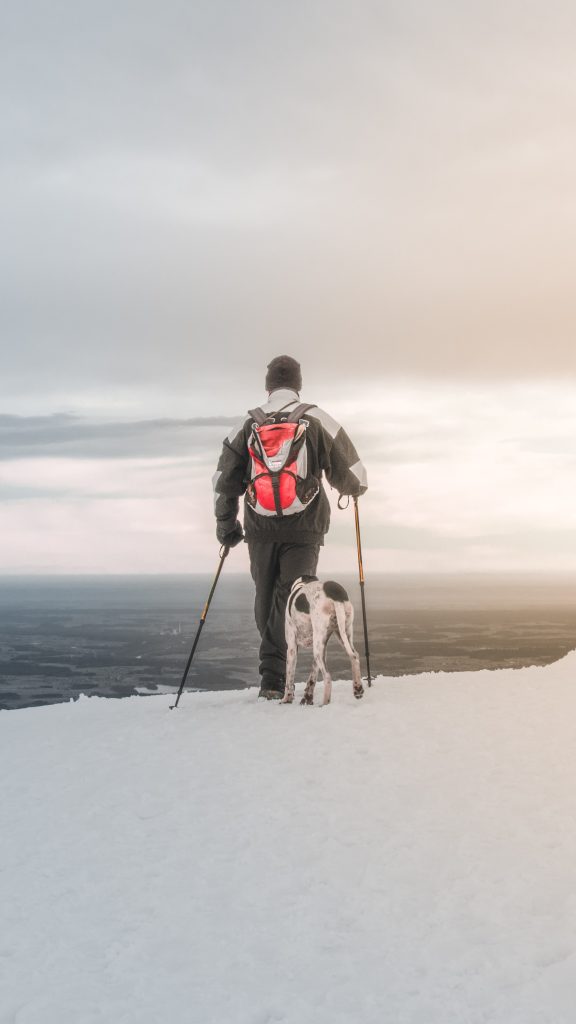 In montagna col cane. Foto Unsplash @Puneth Shetty
