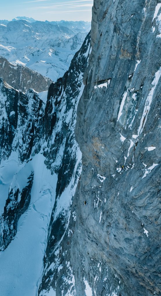 ©Yannick Boissenot - Millet 