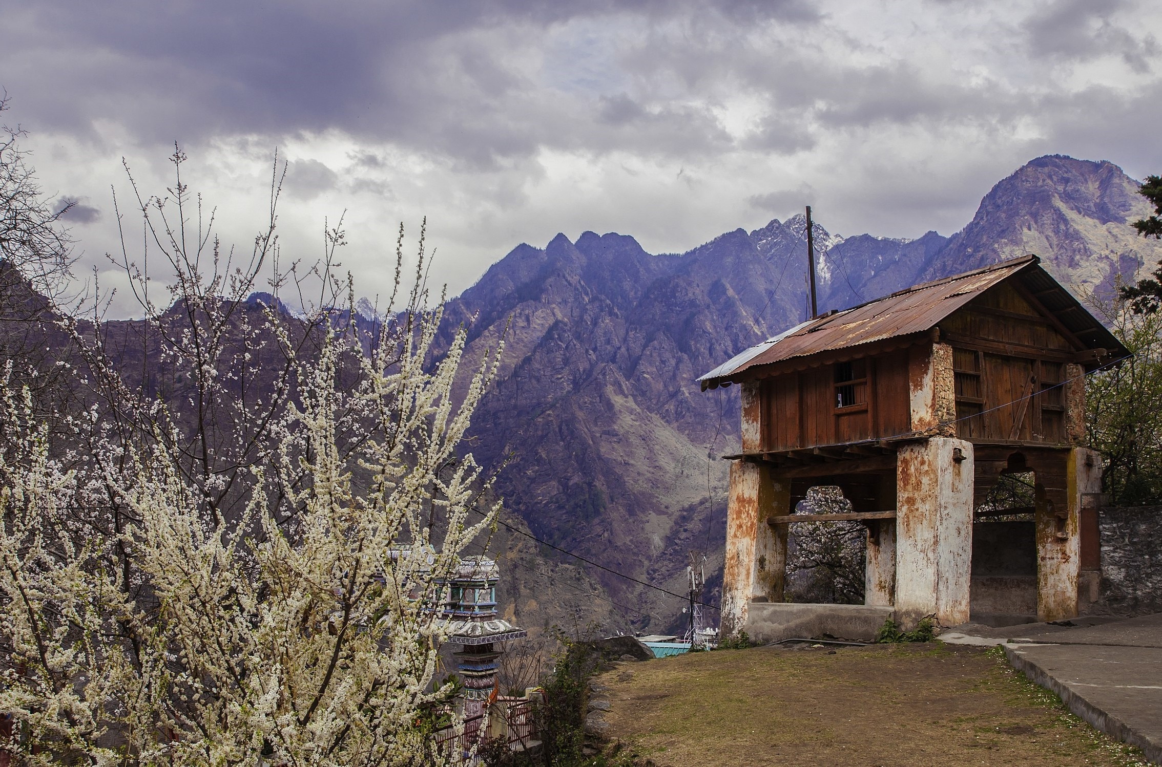 joshimat, himalaya