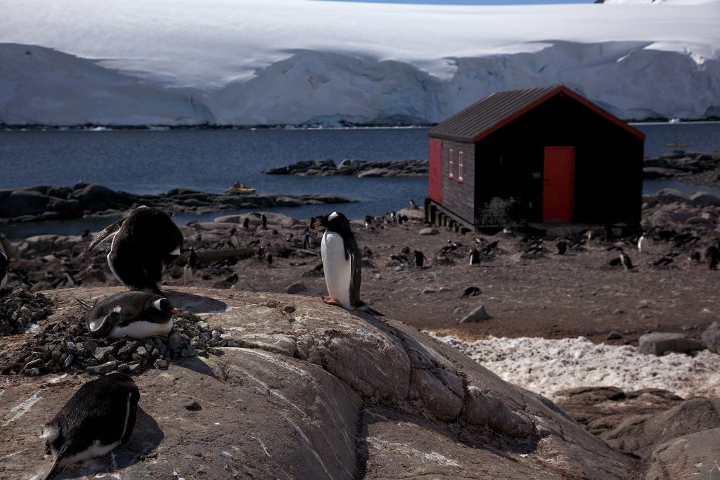 Port Lockroy - Foto Wikimedia Commons @Jason Auch