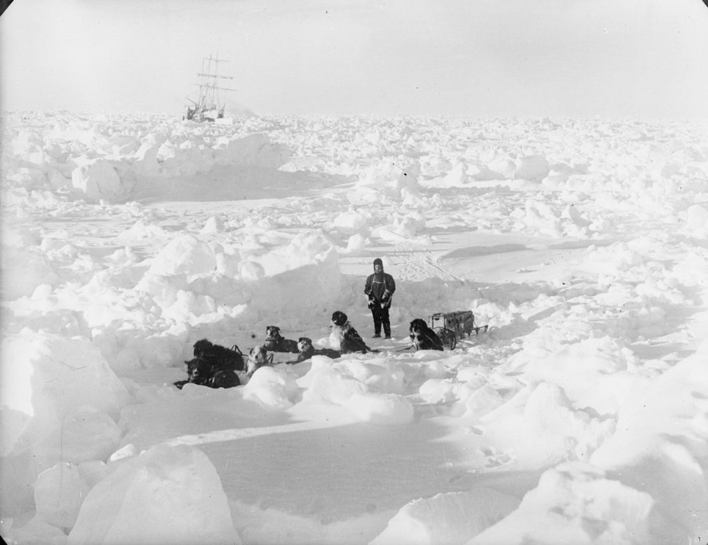 Una slitta trainata dai cani nella spedizione del 1914-1915 -  Foto Wikimedia Commons @National Maritime Museum