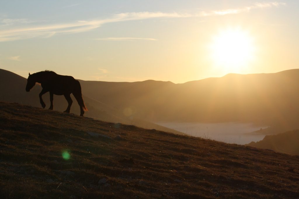 Sibillini - Foto Wikimedia Commons @FrDr