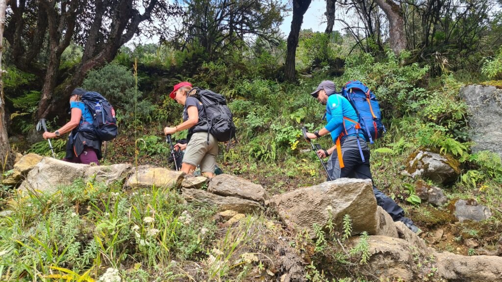 Salita verso Tengboche - Foto Stefano Ardito