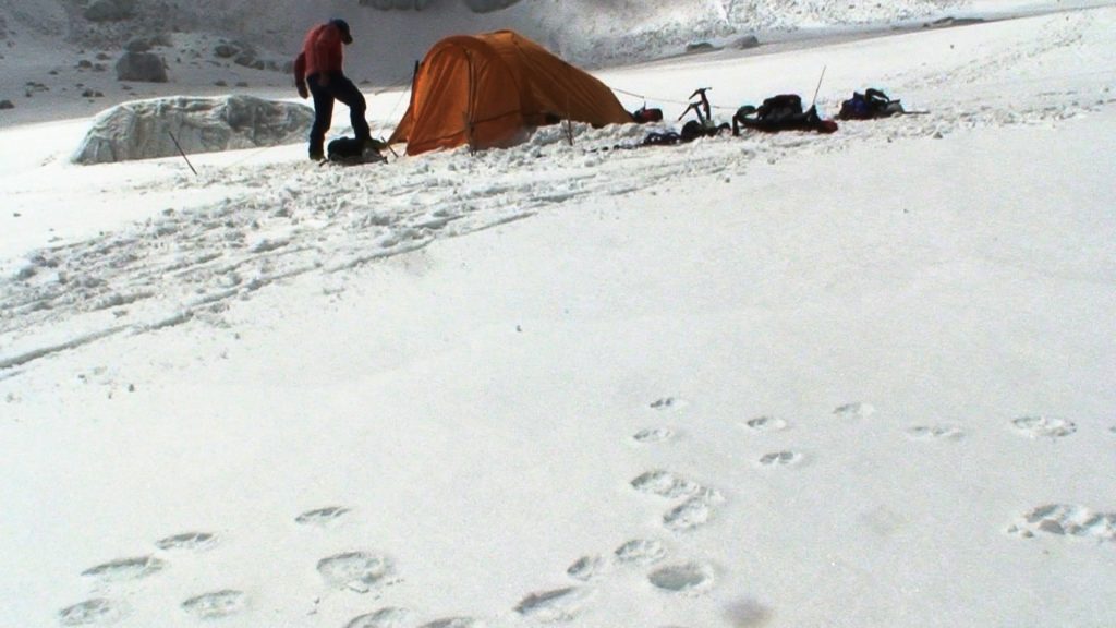 Impronte a 5600 metri - Foto Archivio Wikimedia Commons @Walter Inspruckner 