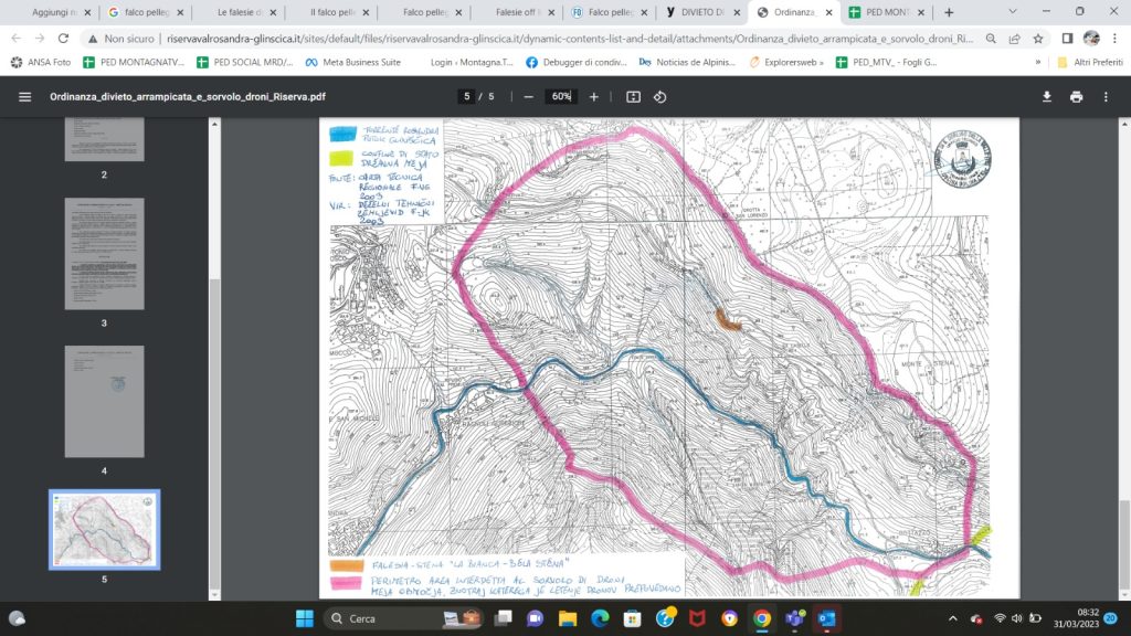 Area in cui è vietato il sorvolo dei droni, mappa estratta dall