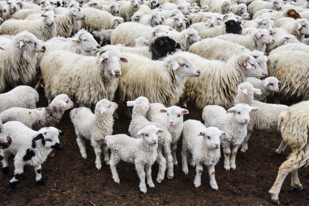 Foto Hans Heiner Buhr via Unsplash