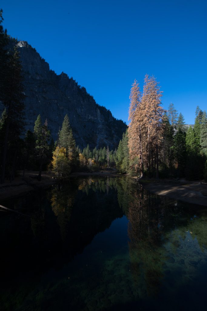 Yosemite - Foto Pexels @Alexey Komissarov